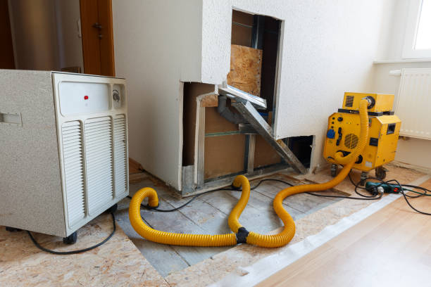 Dehumidification Services in Brownfields, LA